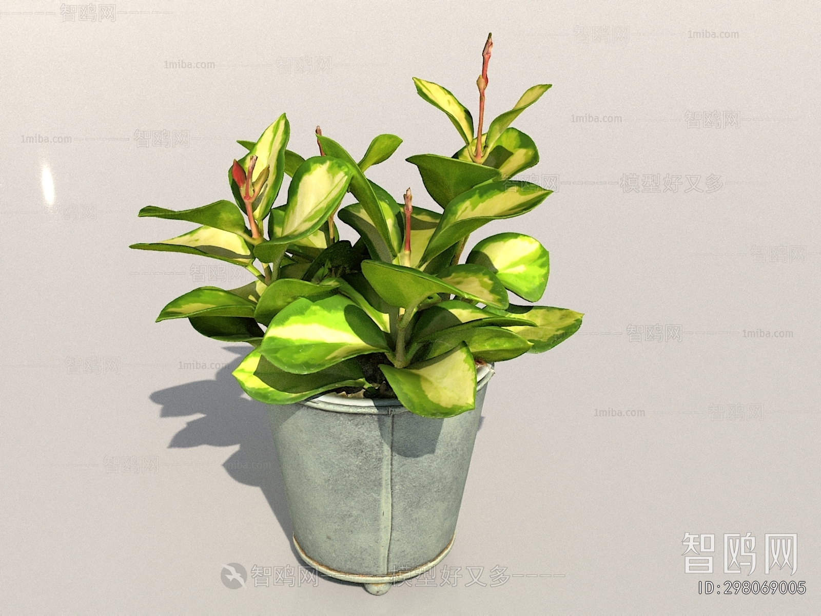 Modern Potted Green Plant