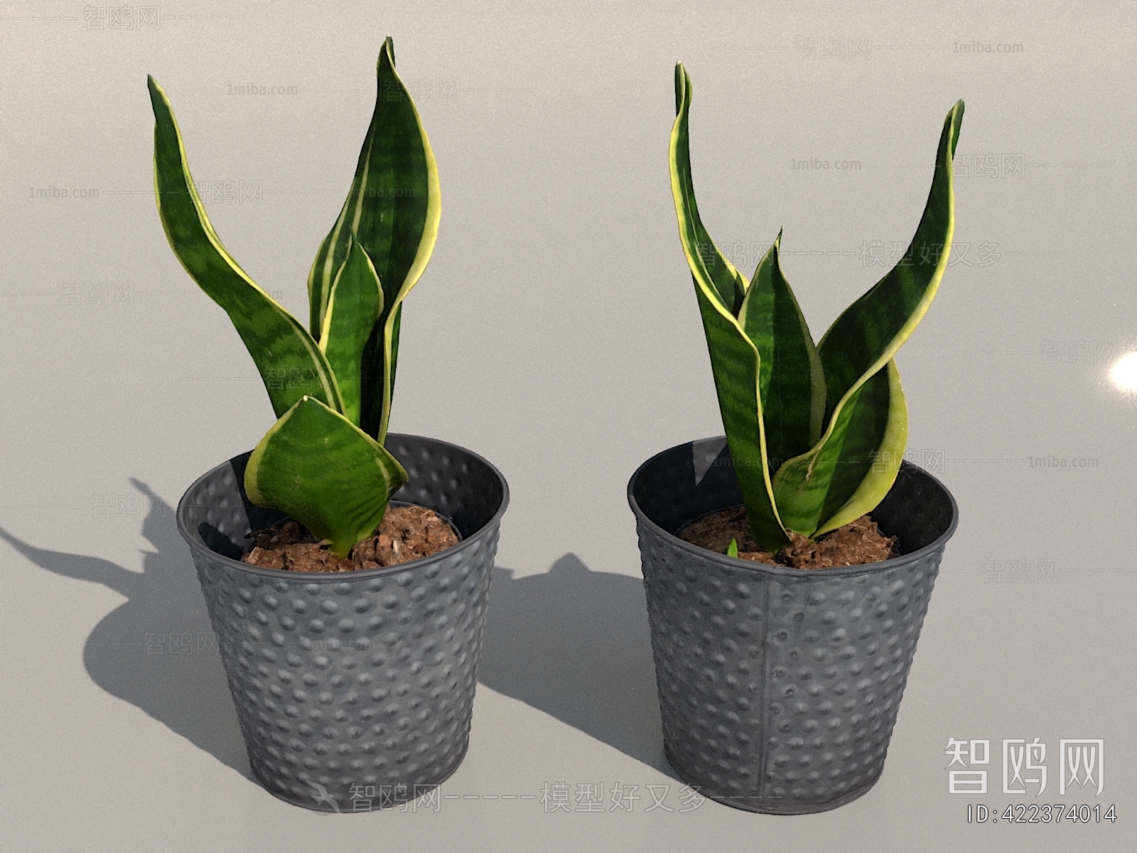 Modern Potted Green Plant