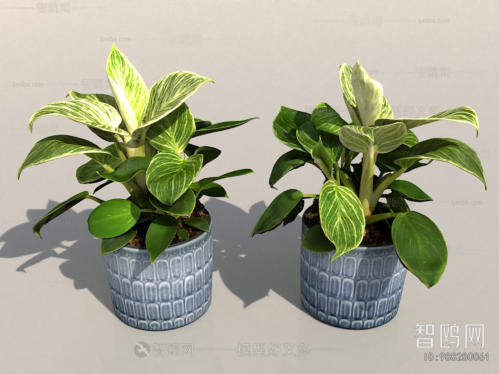 Modern Potted Green Plant