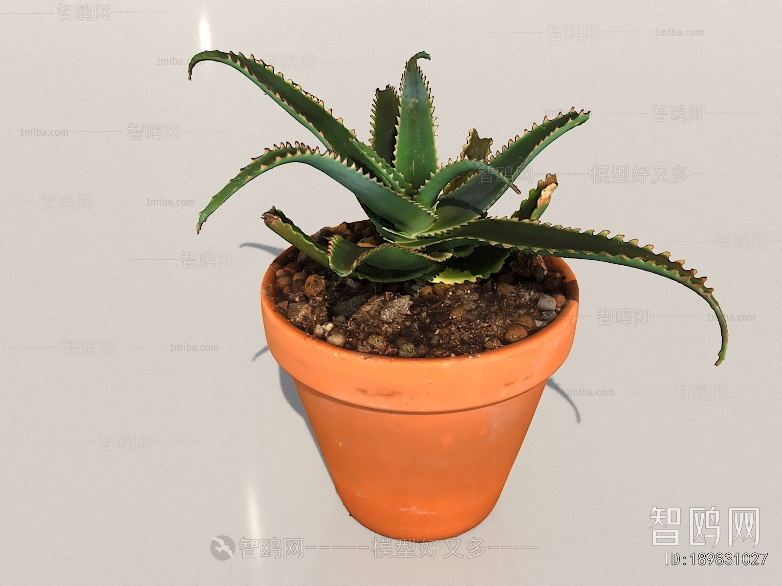 Modern Potted Green Plant