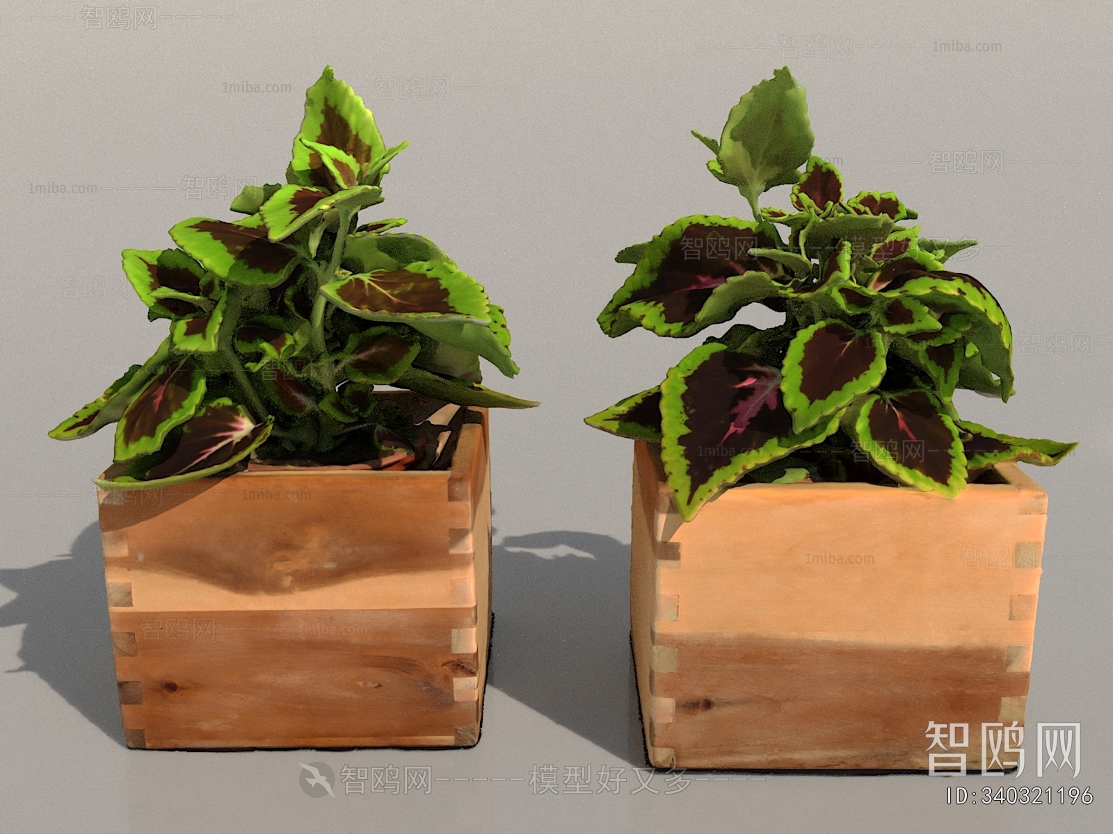 Modern Potted Green Plant