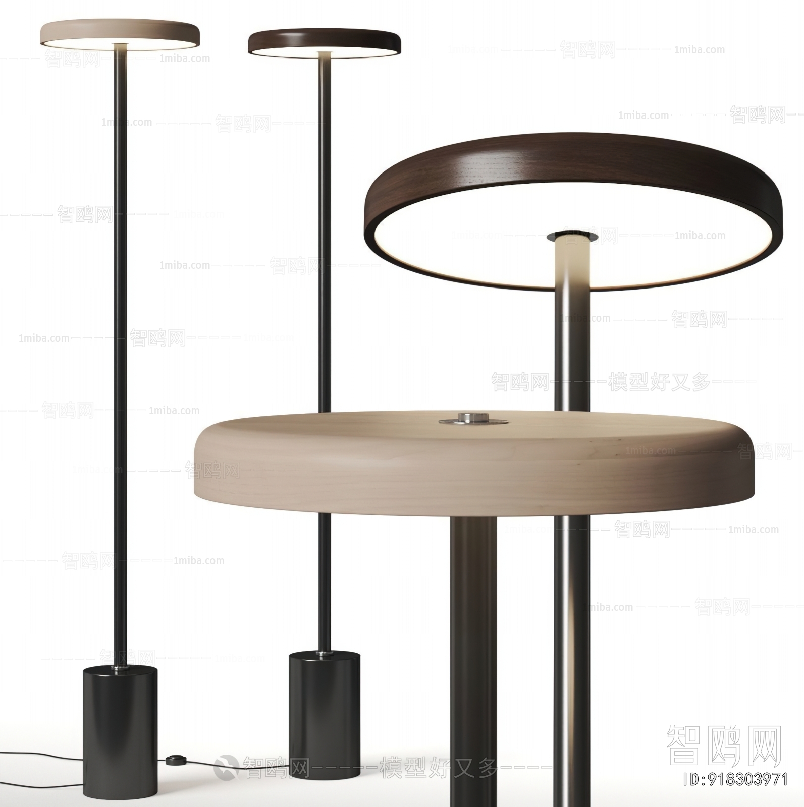 Modern Floor Lamp