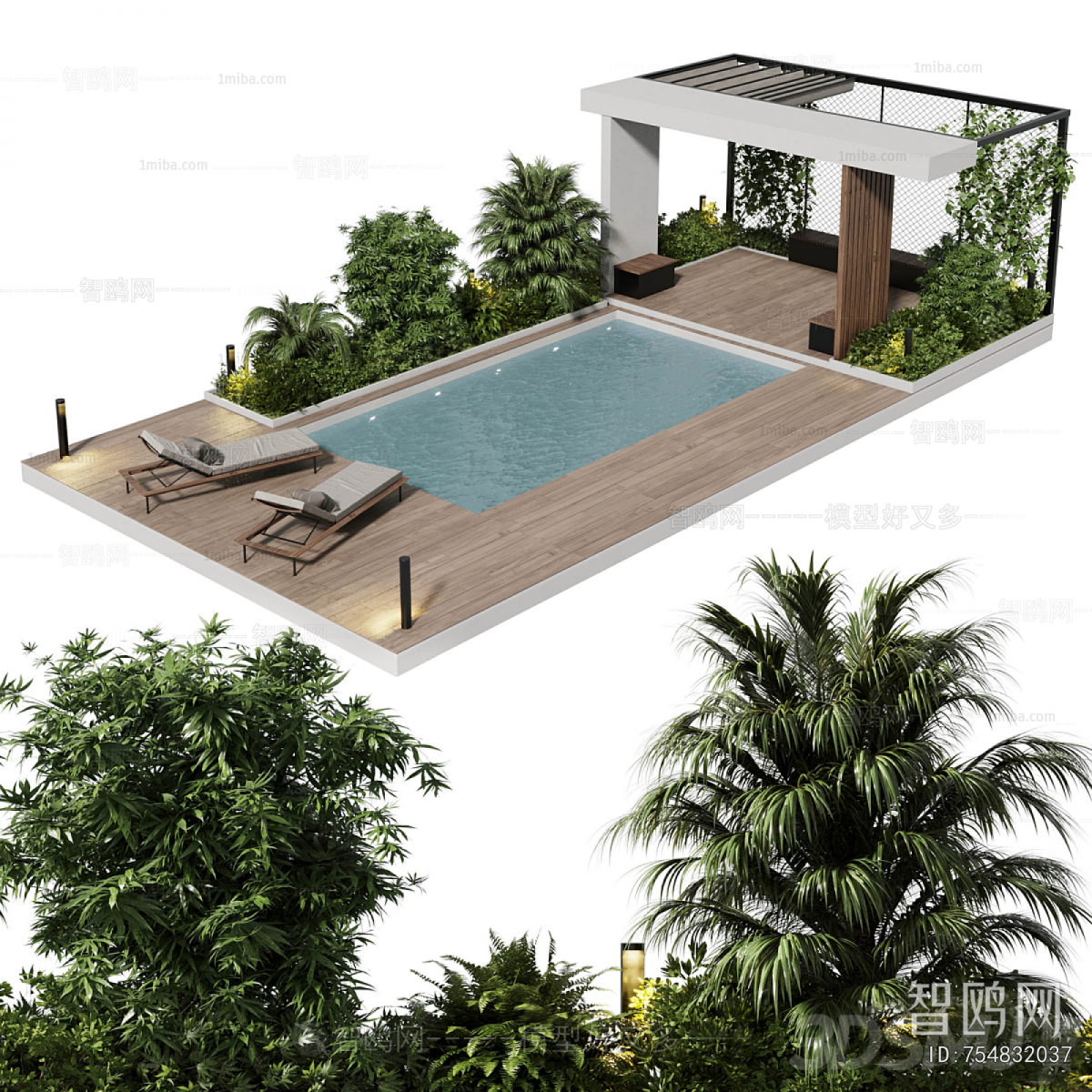 Modern Swimming Pool