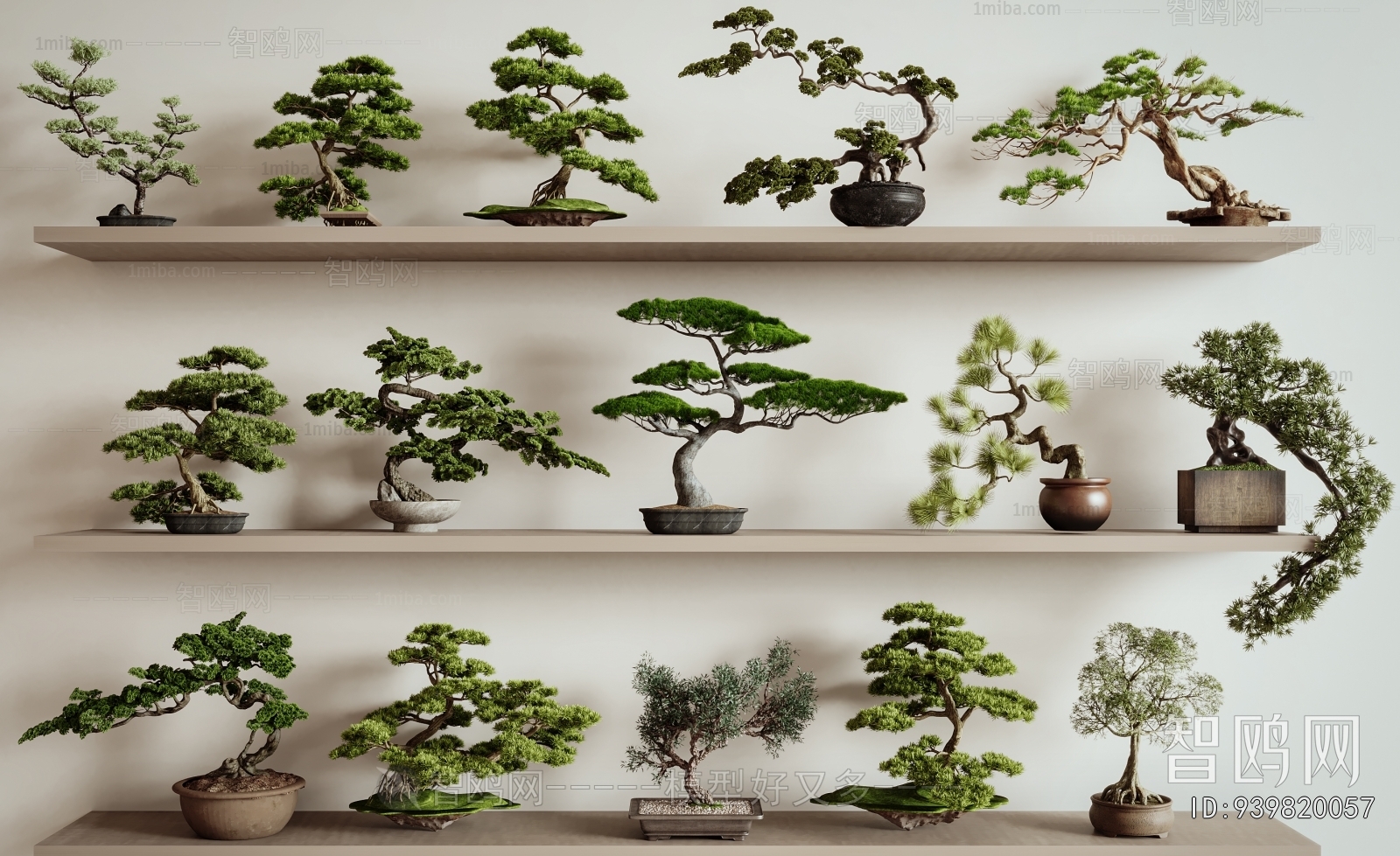 Modern Bonsai