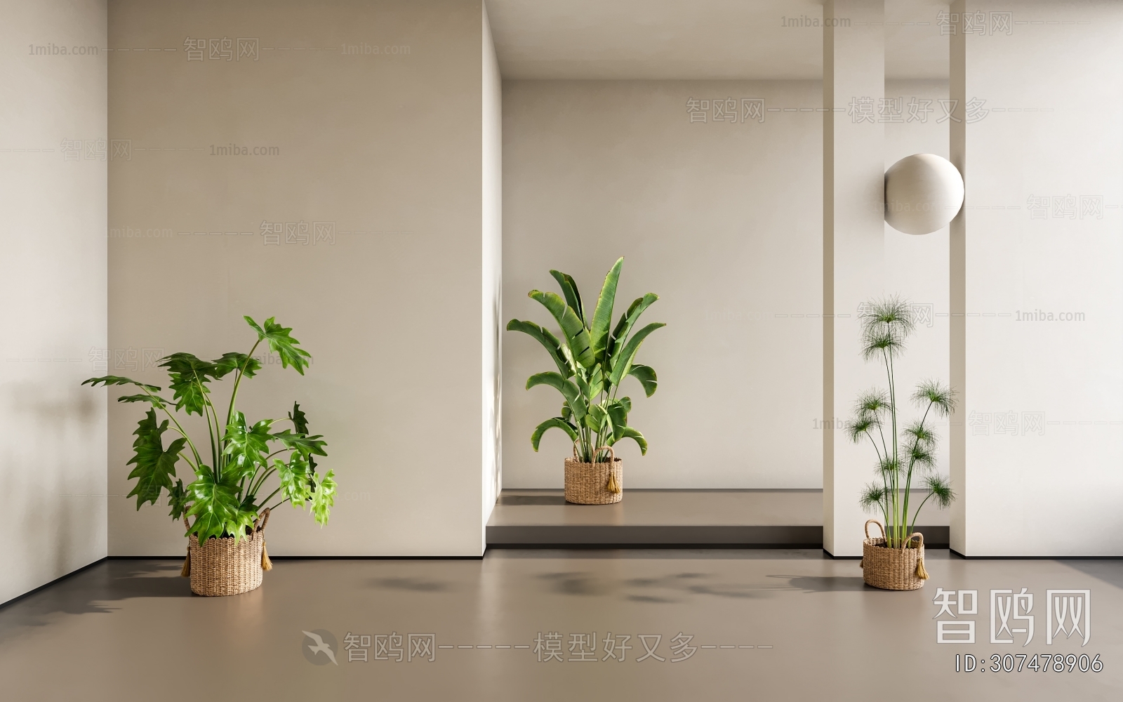 Modern Ground Green Plant Potted Plants