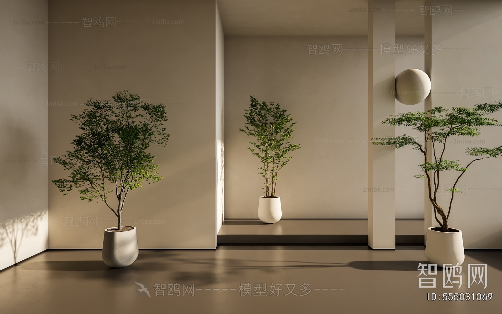 Modern Ground Green Plant Potted Plants