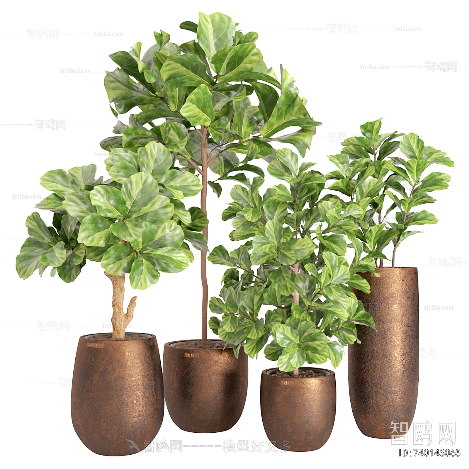 Modern Ground Green Plant Potted Plants