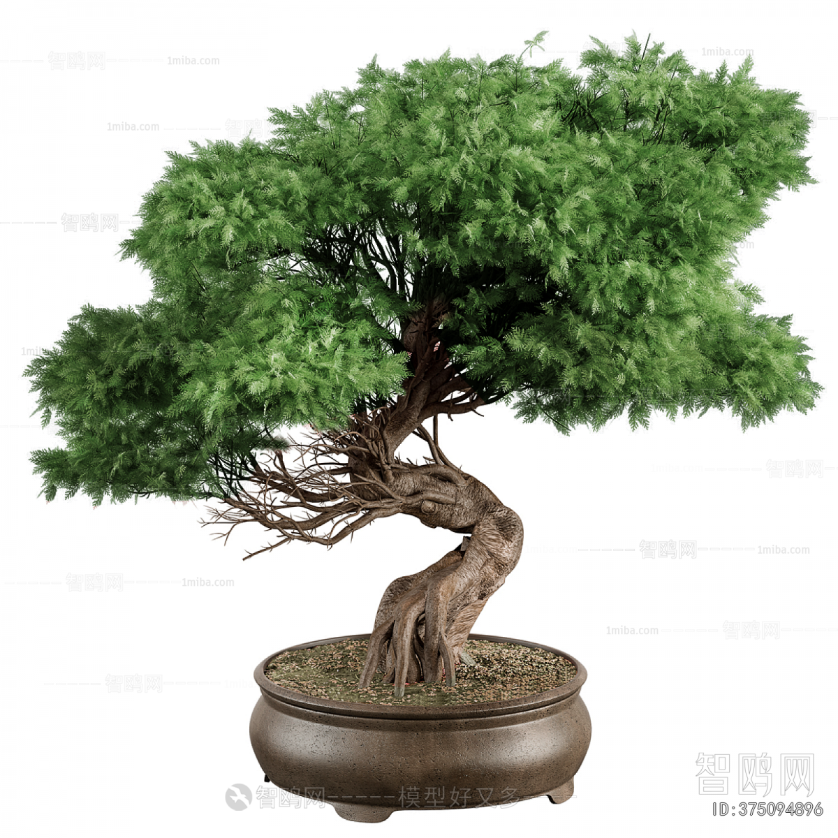 Modern Bonsai