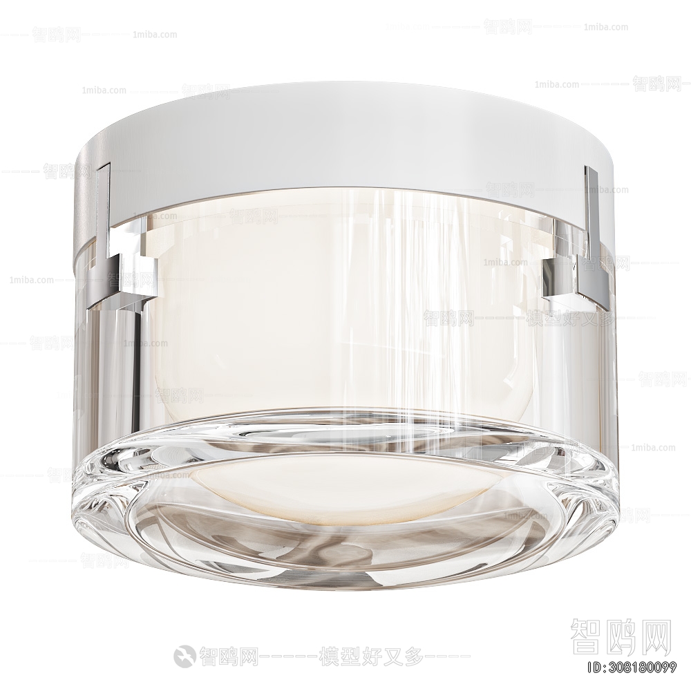 Modern Ceiling Ceiling Lamp