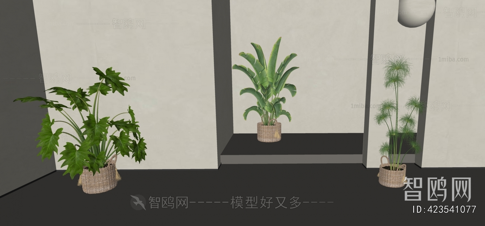 Modern Potted Green Plant