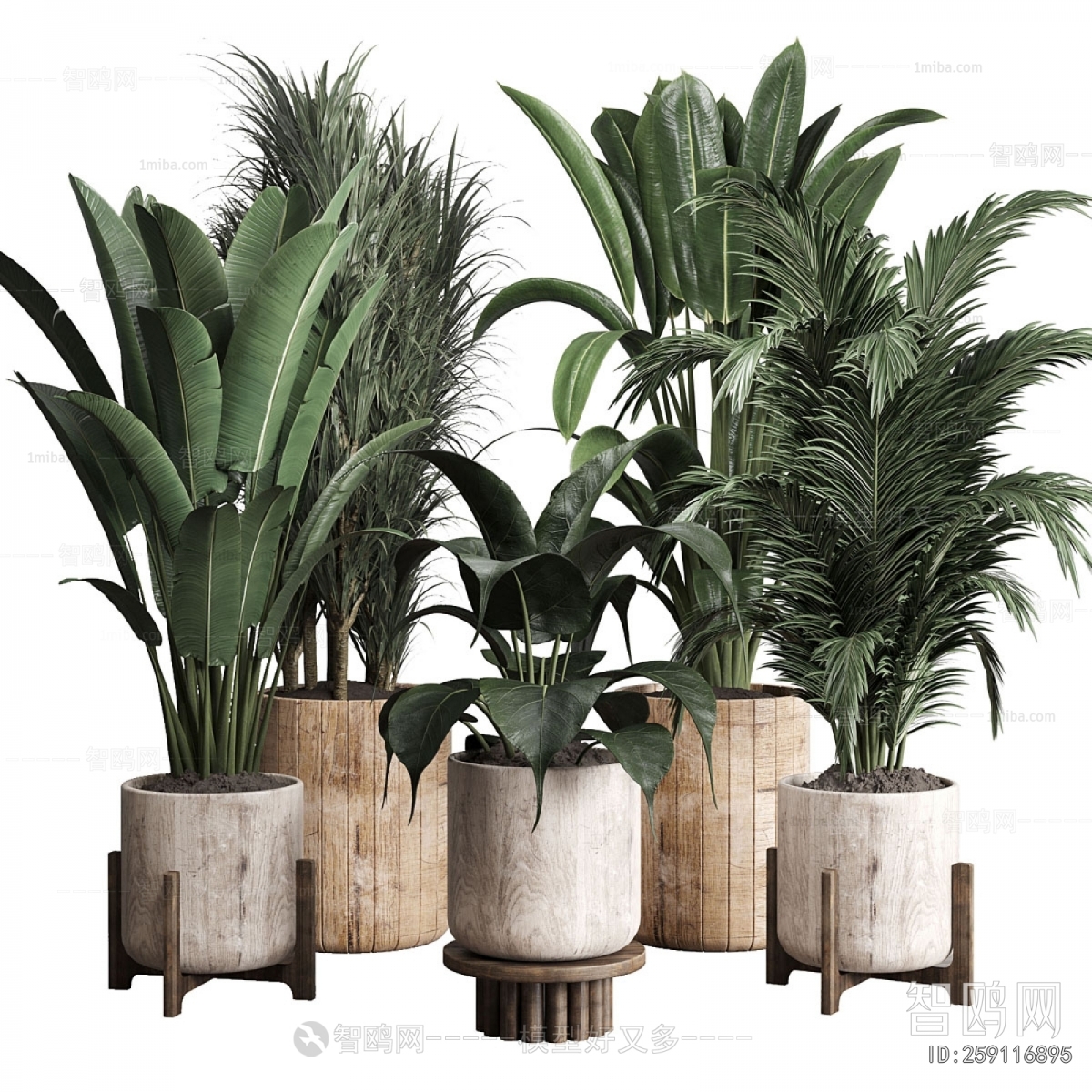 Modern Ground Green Plant Potted Plants