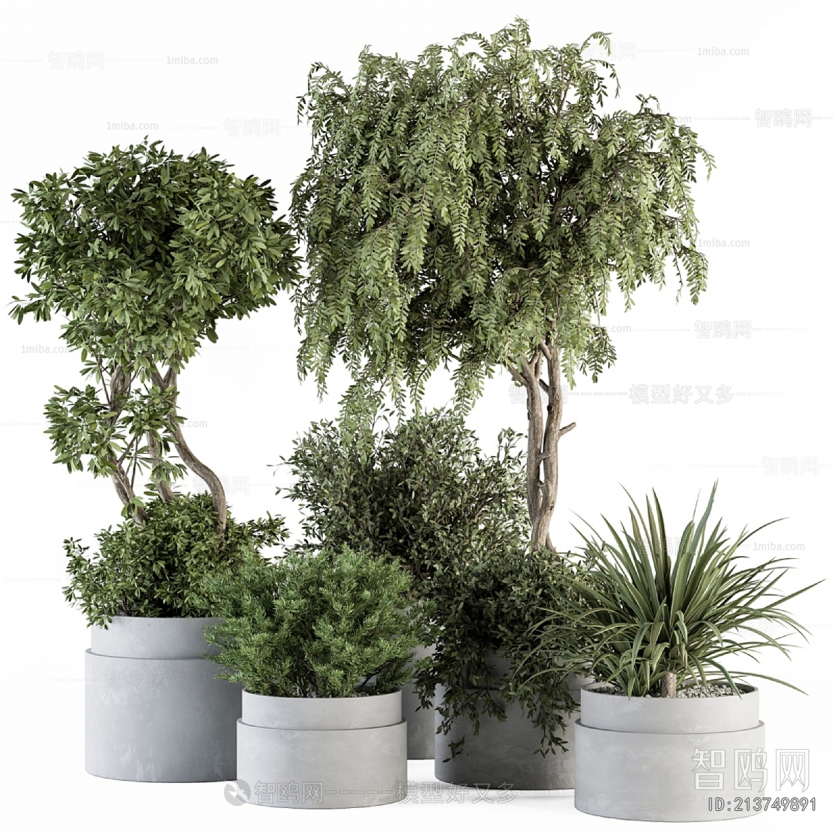 Modern Ground Green Plant Potted Plants