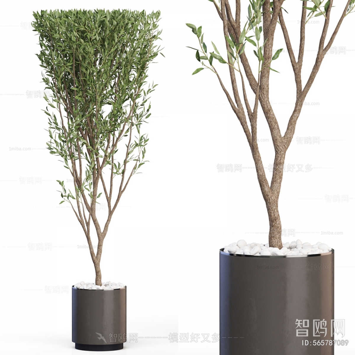 Modern Ground Green Plant Potted Plants