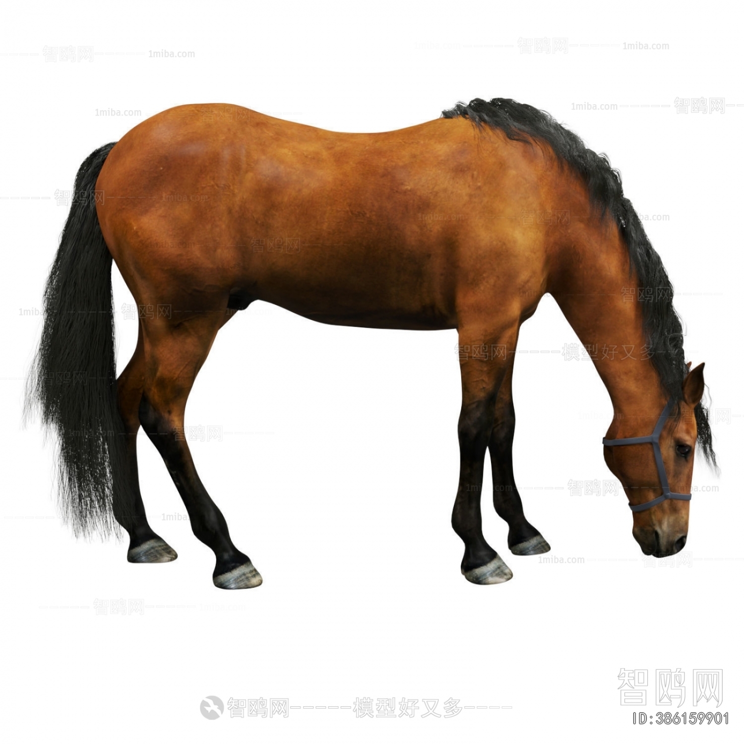 Modern Animal Horse