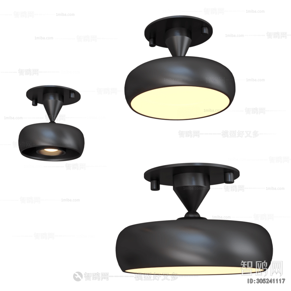 Modern Ceiling Ceiling Lamp