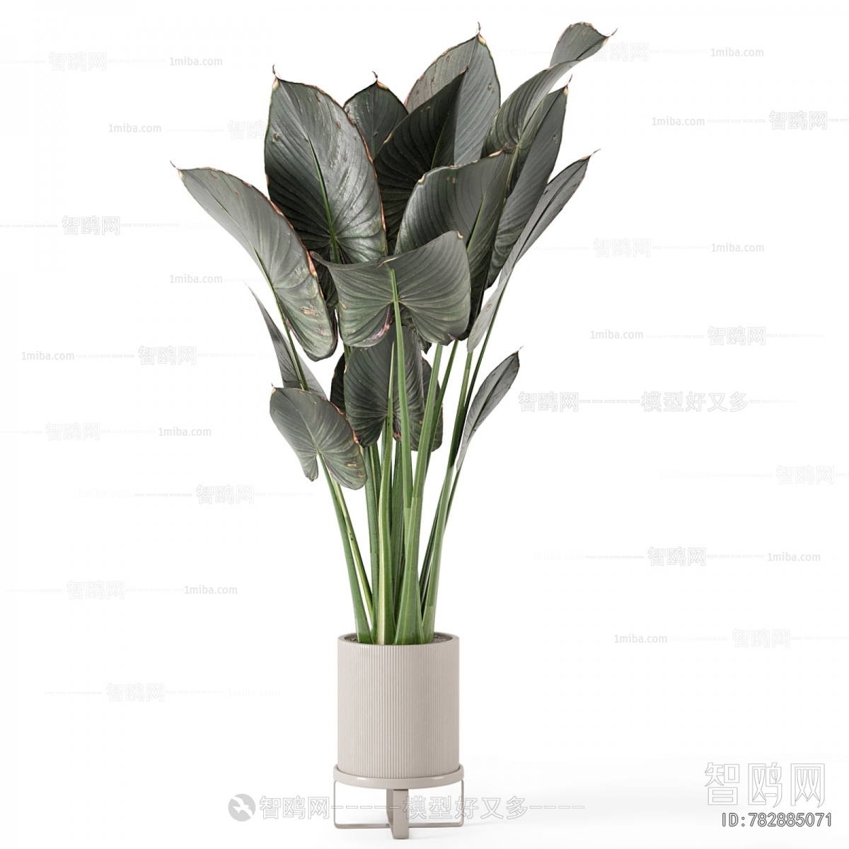 Modern Ground Green Plant Potted Plants