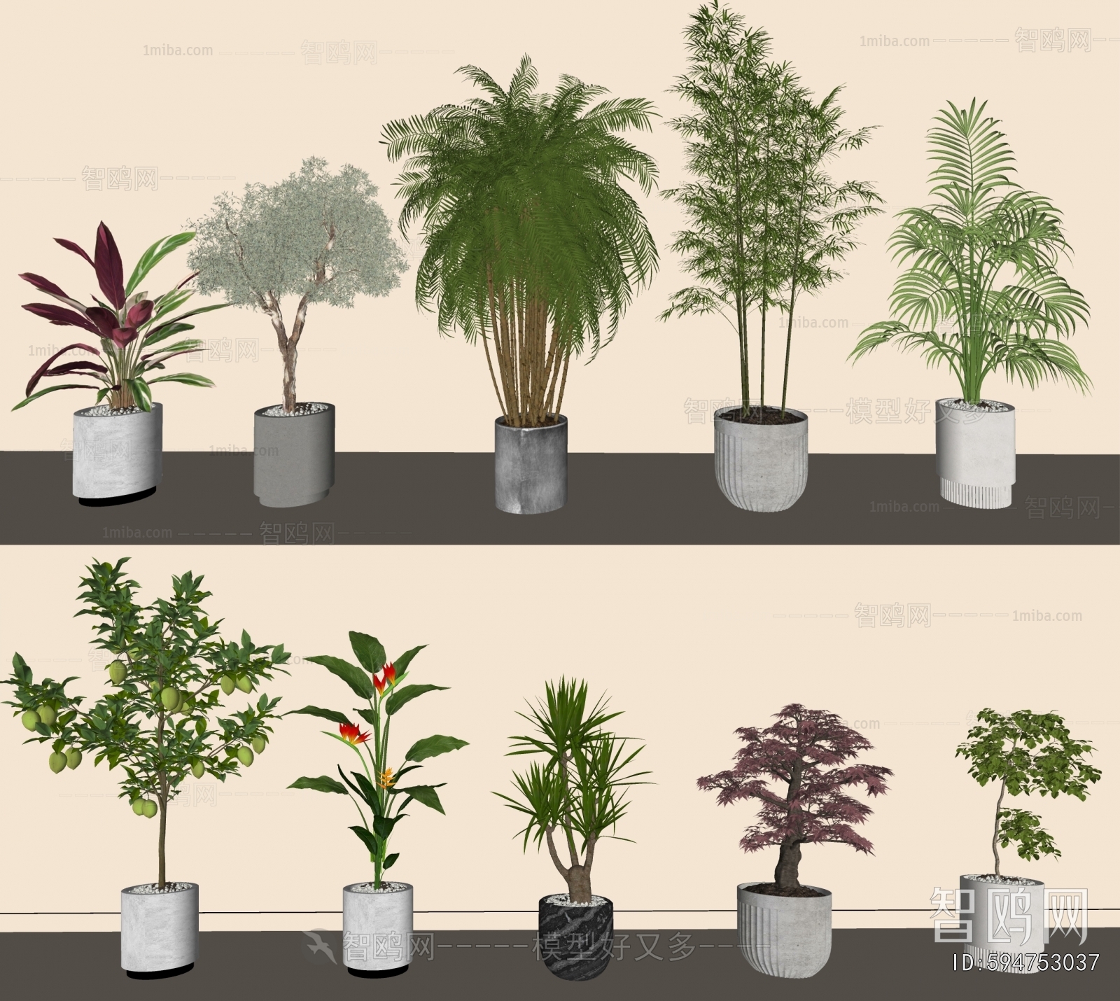 Modern Ground Green Plant Potted Plants