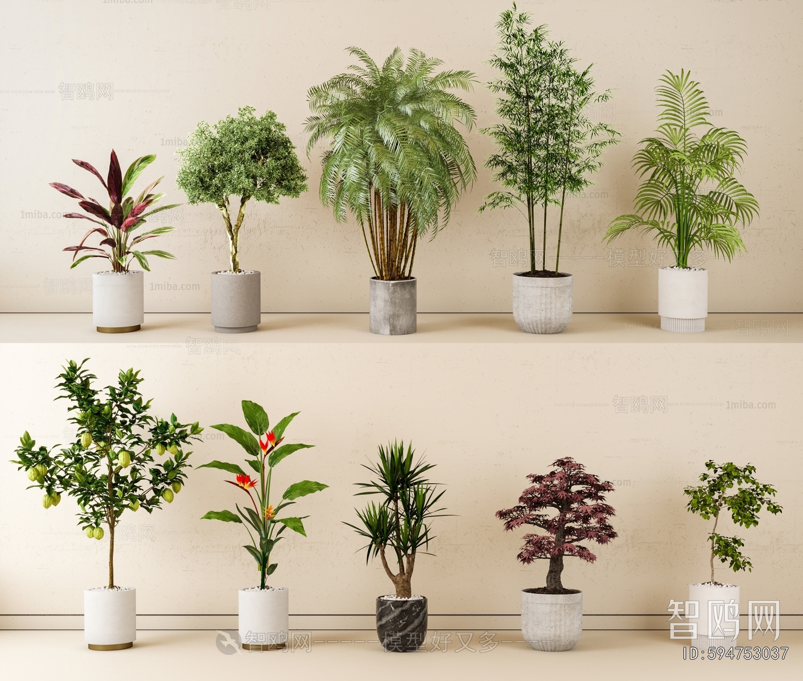 Modern Ground Green Plant Potted Plants