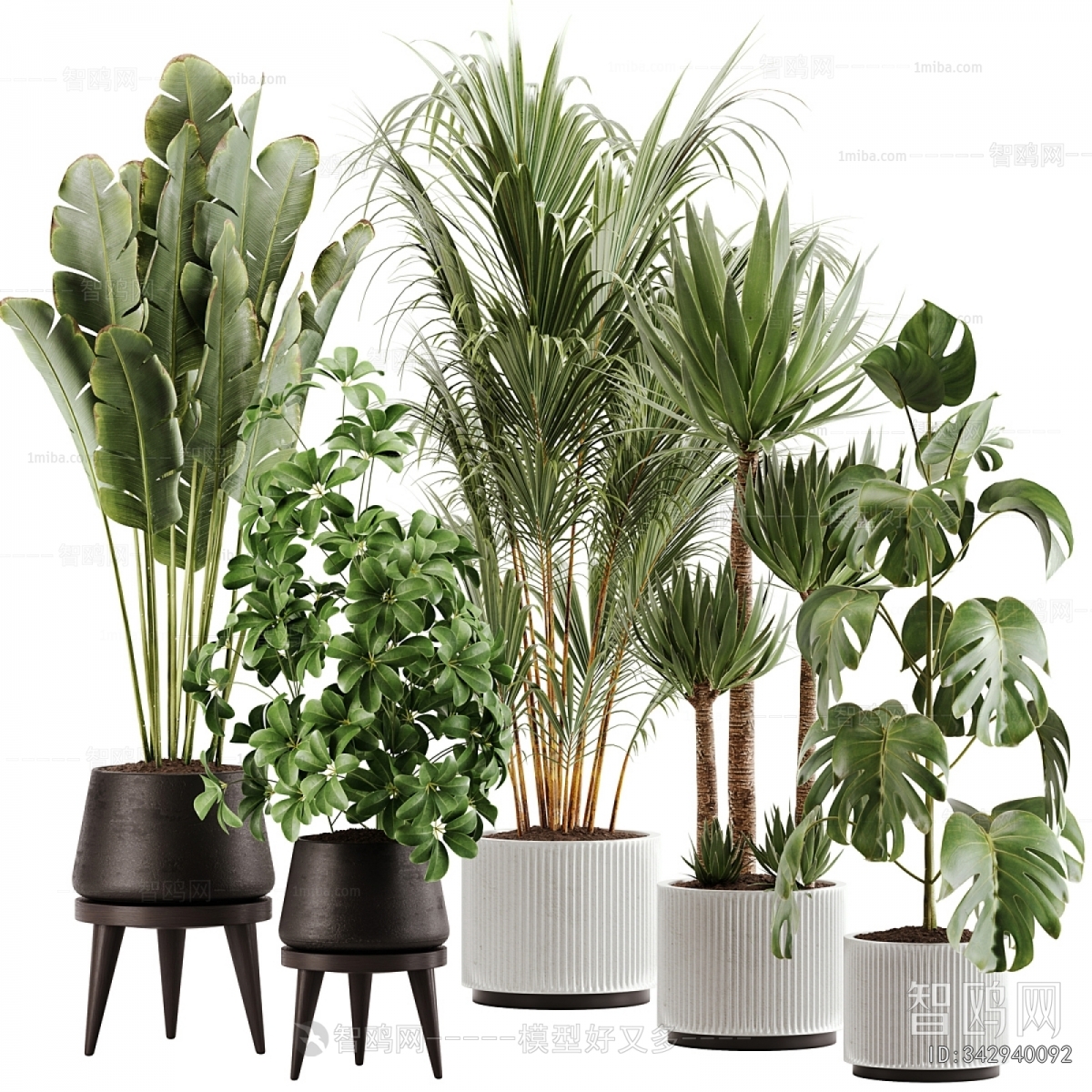 Modern Ground Green Plant Potted Plants