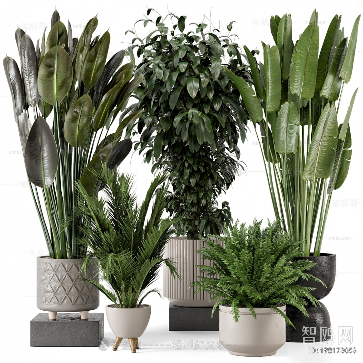 Modern Ground Green Plant Potted Plants