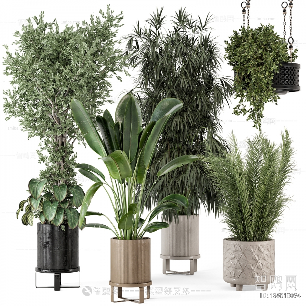 Modern Ground Green Plant Potted Plants