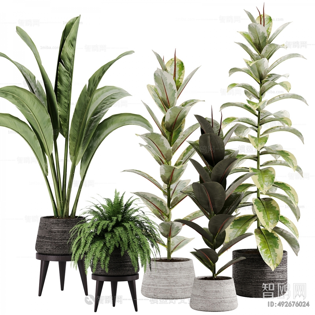 Modern Ground Green Plant Potted Plants