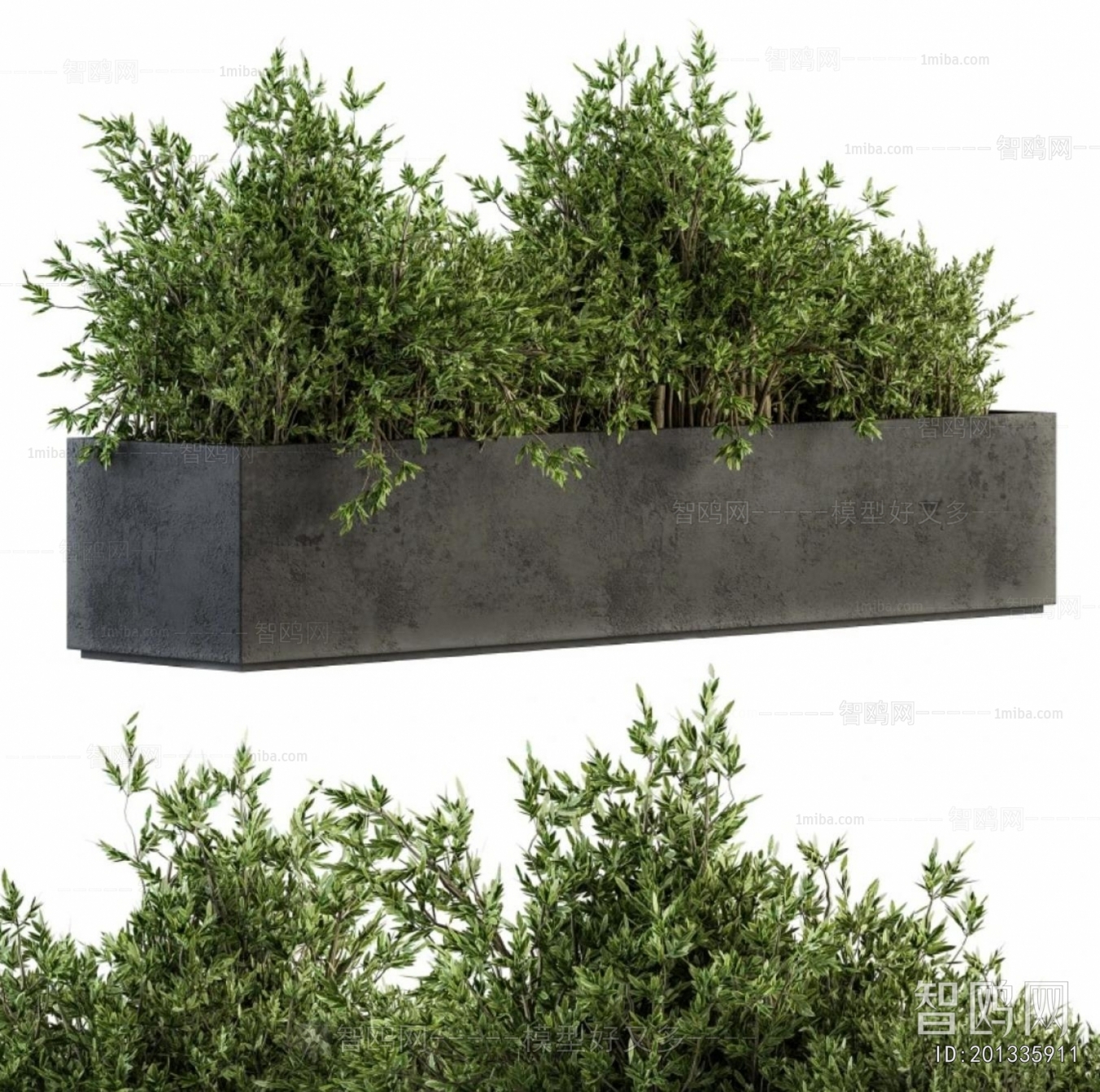 Modern Flower Bed, Flower Bowl, Flower Box