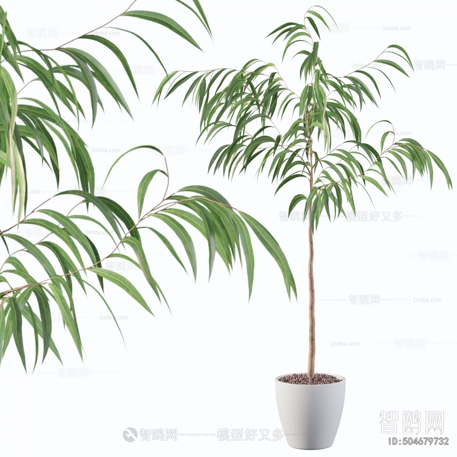 Modern Ground Green Plant Potted Plants