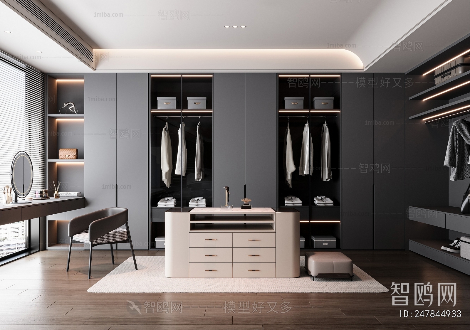 Modern Clothes Storage Area