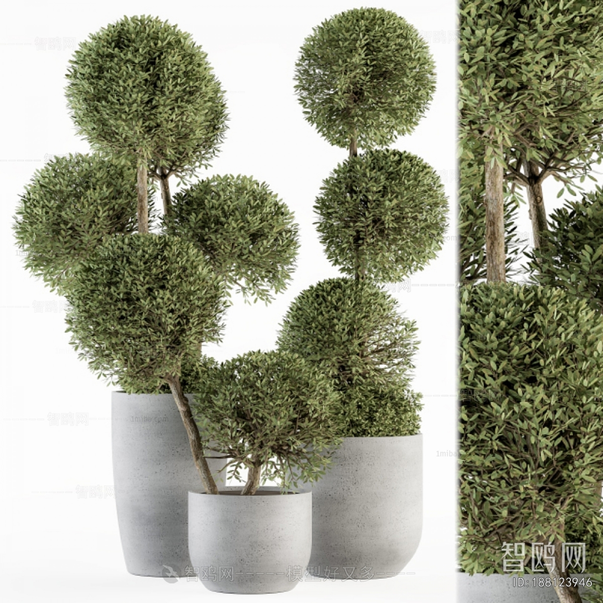 Modern Ground Green Plant Potted Plants