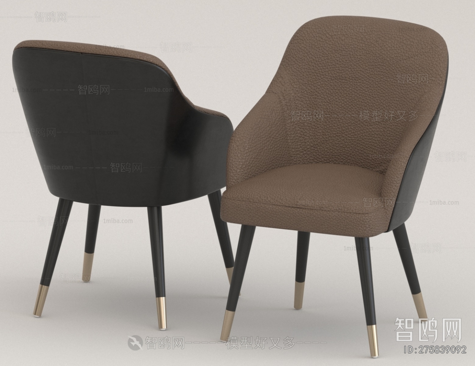 Modern Dining Chair