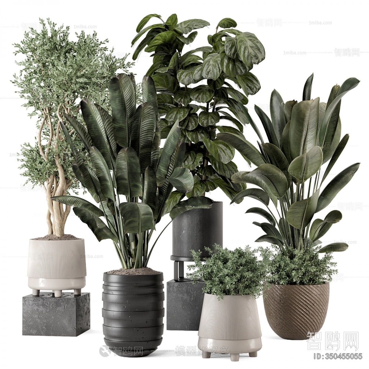 Modern Ground Green Plant Potted Plants