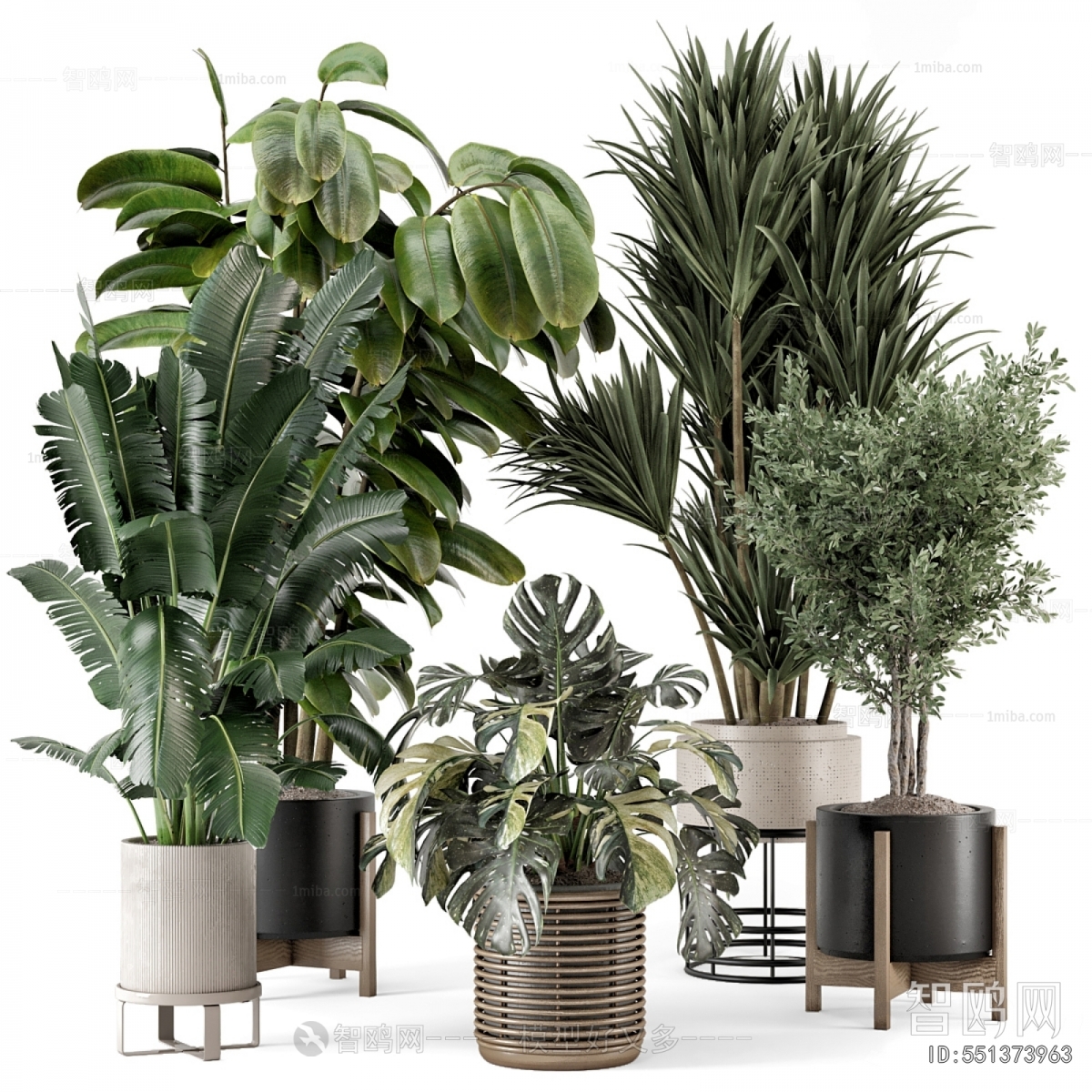 Modern Potted Green Plant