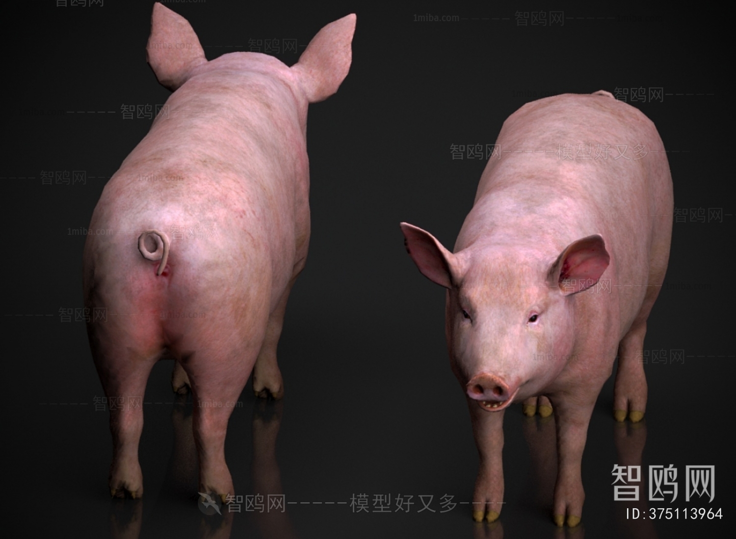 Modern Animal Pig