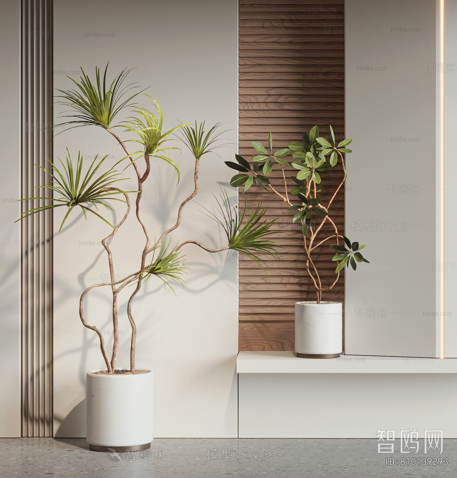 Modern Ground Green Plant Potted Plants