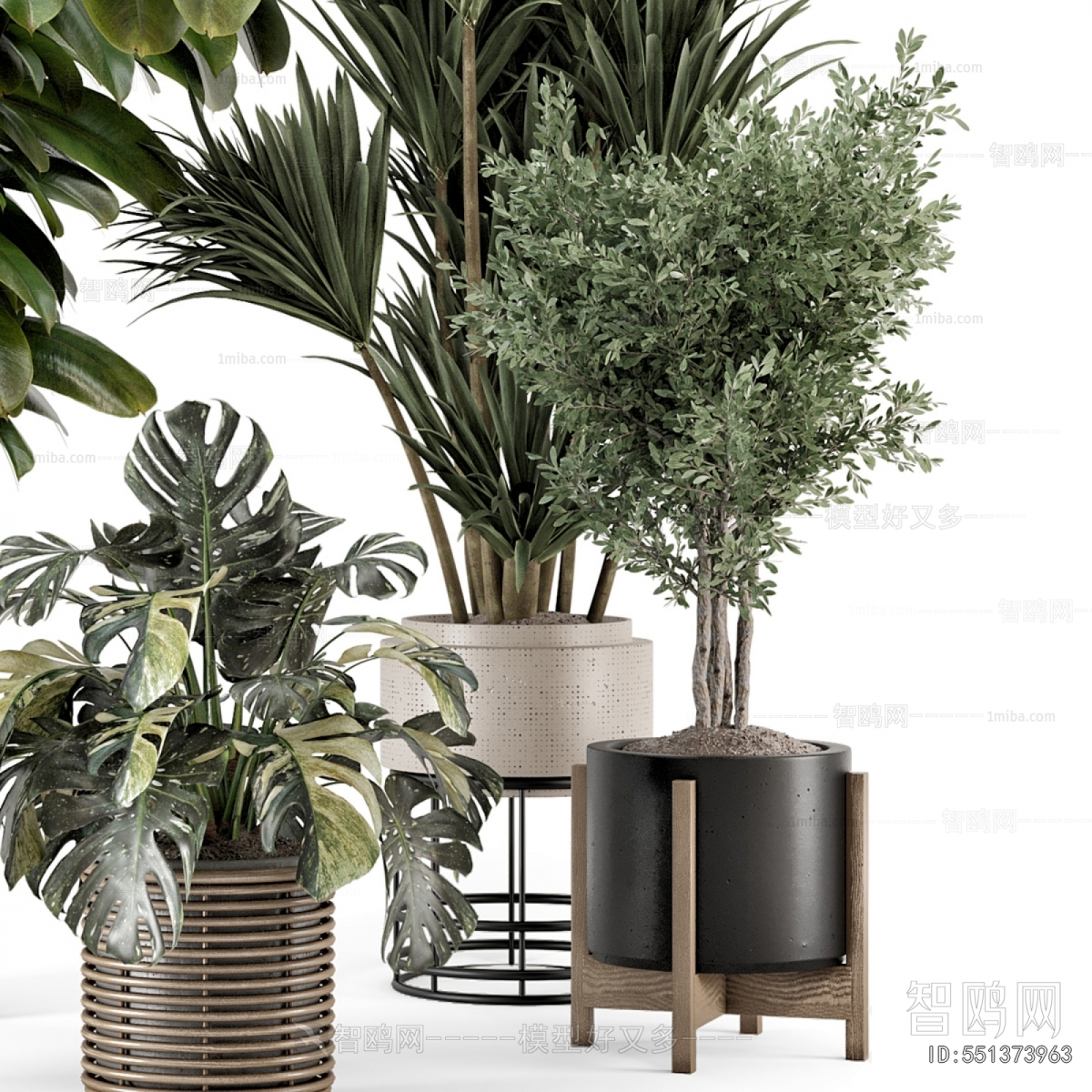 Modern Potted Green Plant