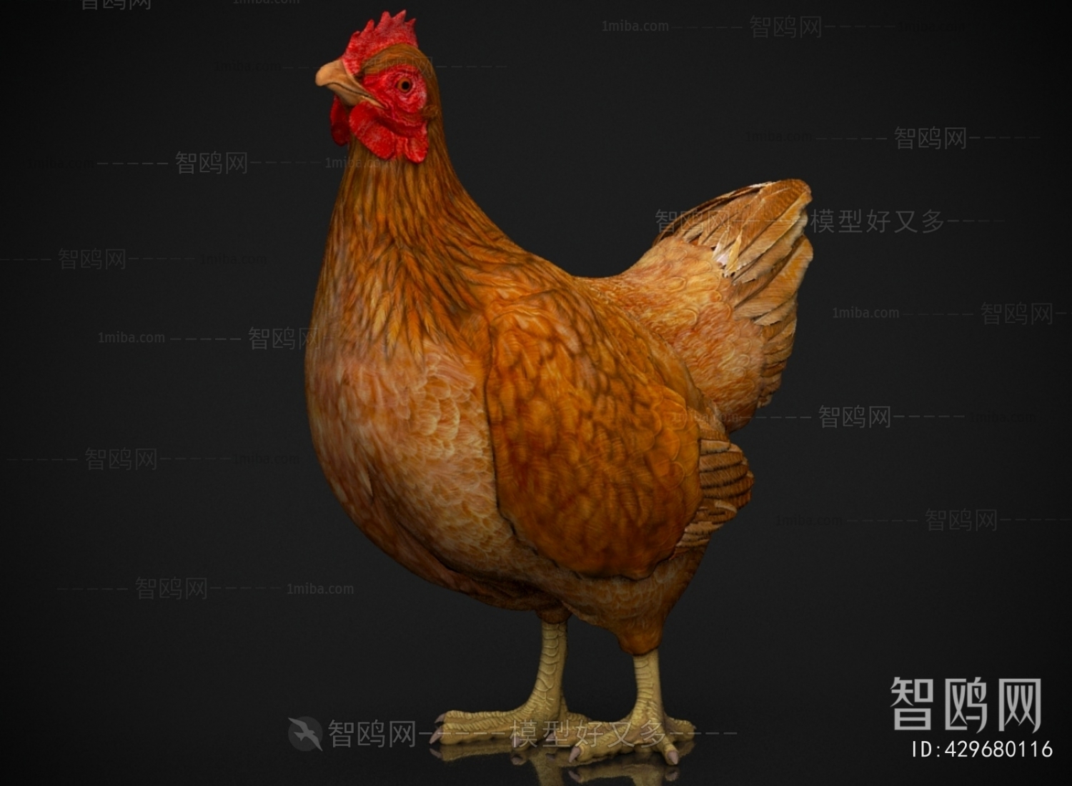 Modern Poultry Animal