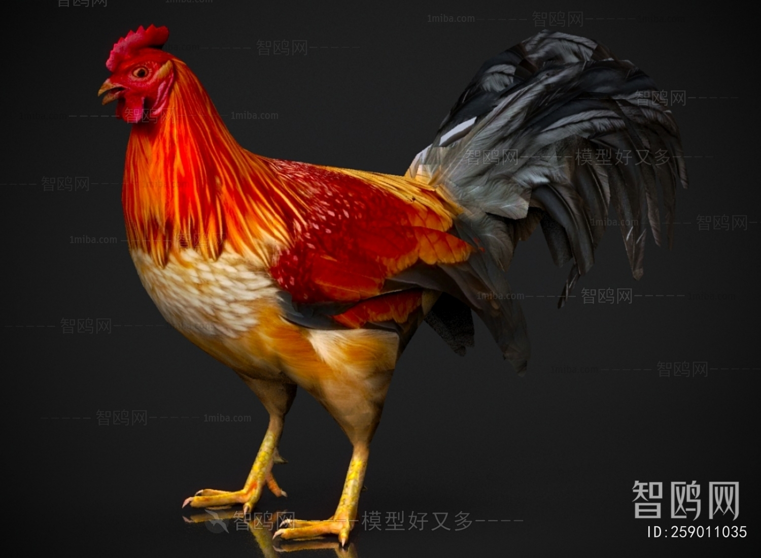 Modern Poultry Animal