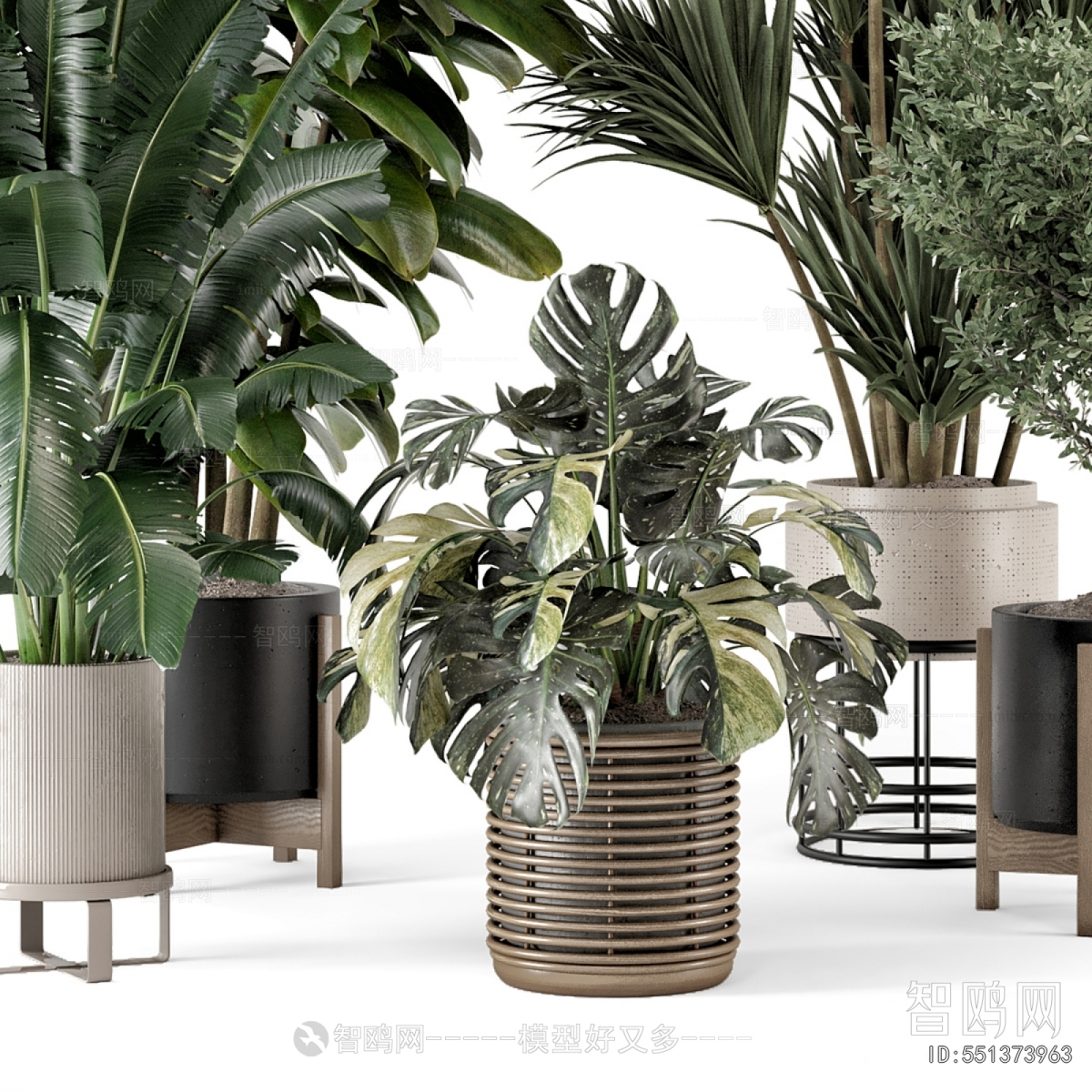 Modern Potted Green Plant