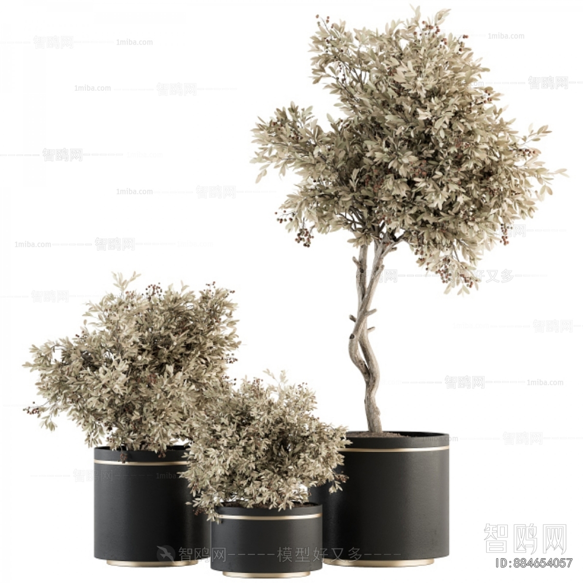 Modern Ground Green Plant Potted Plants