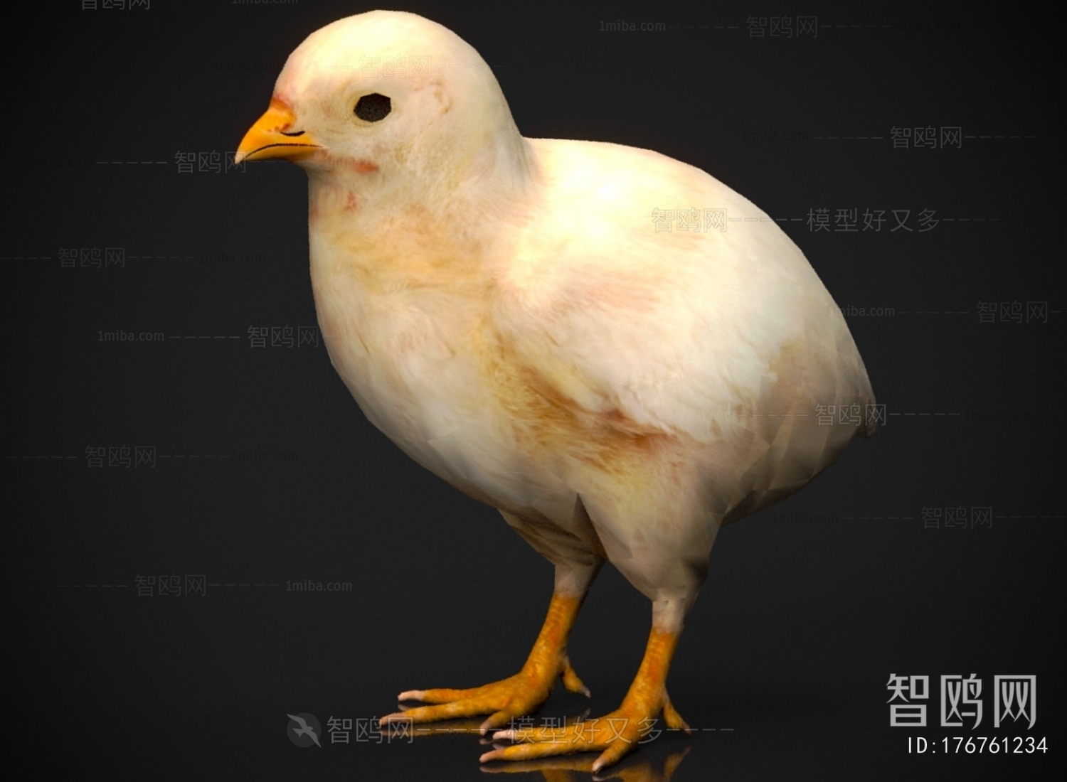 Modern Poultry Animal