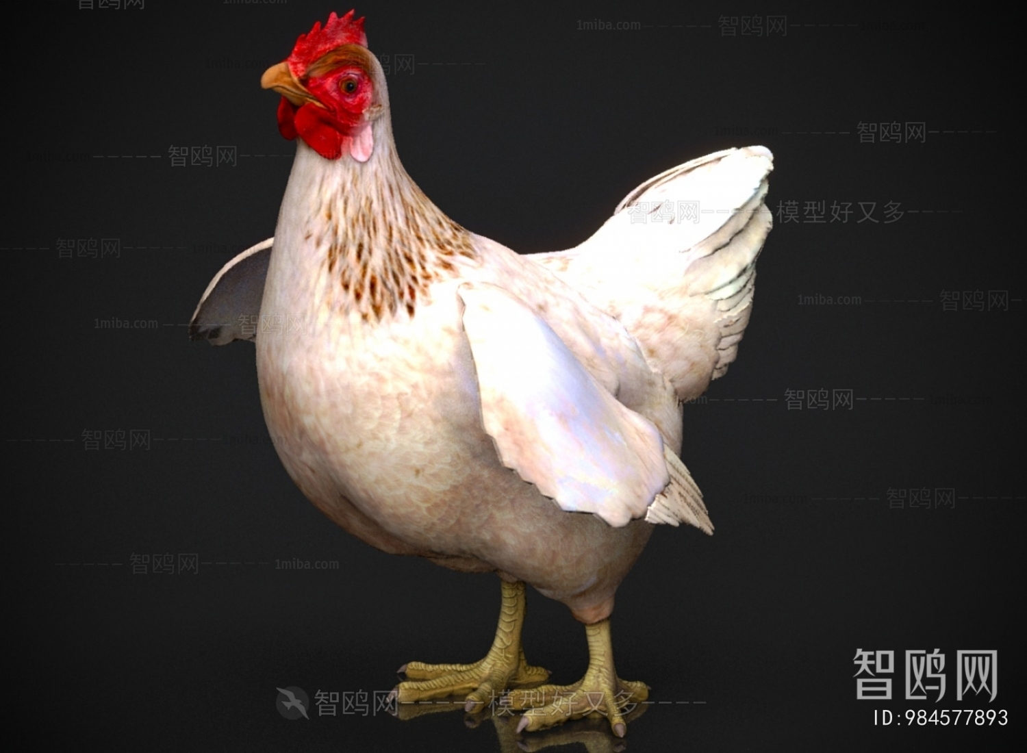 Modern Poultry Animal