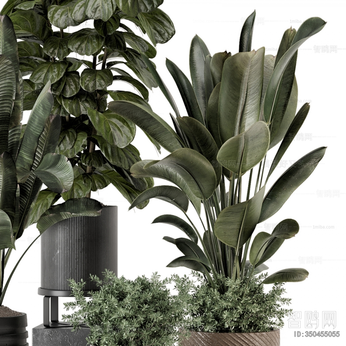 Modern Ground Green Plant Potted Plants