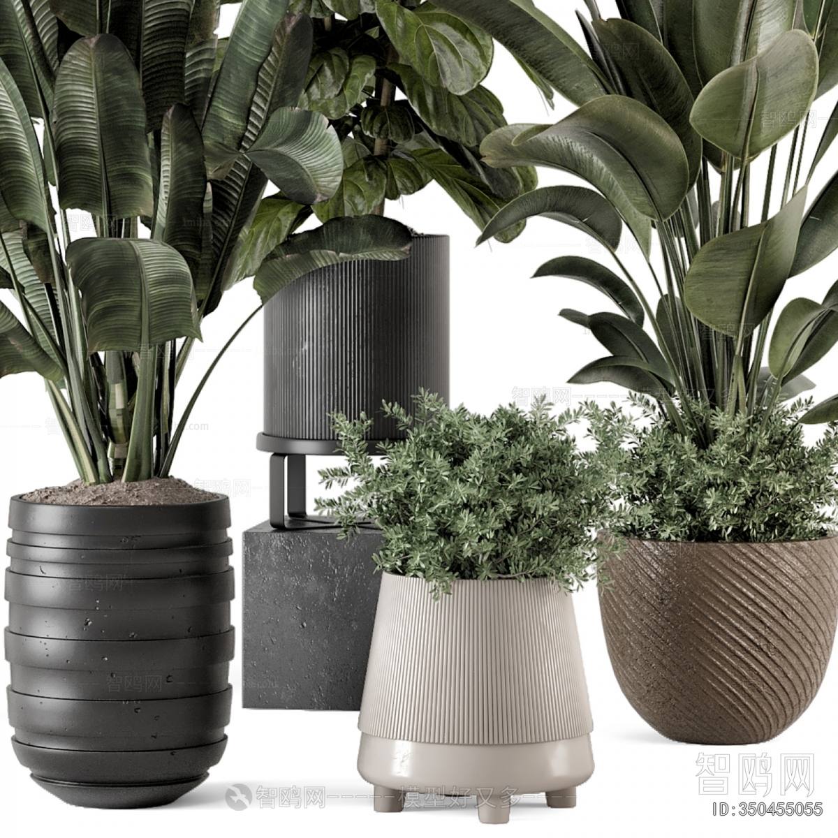 Modern Ground Green Plant Potted Plants