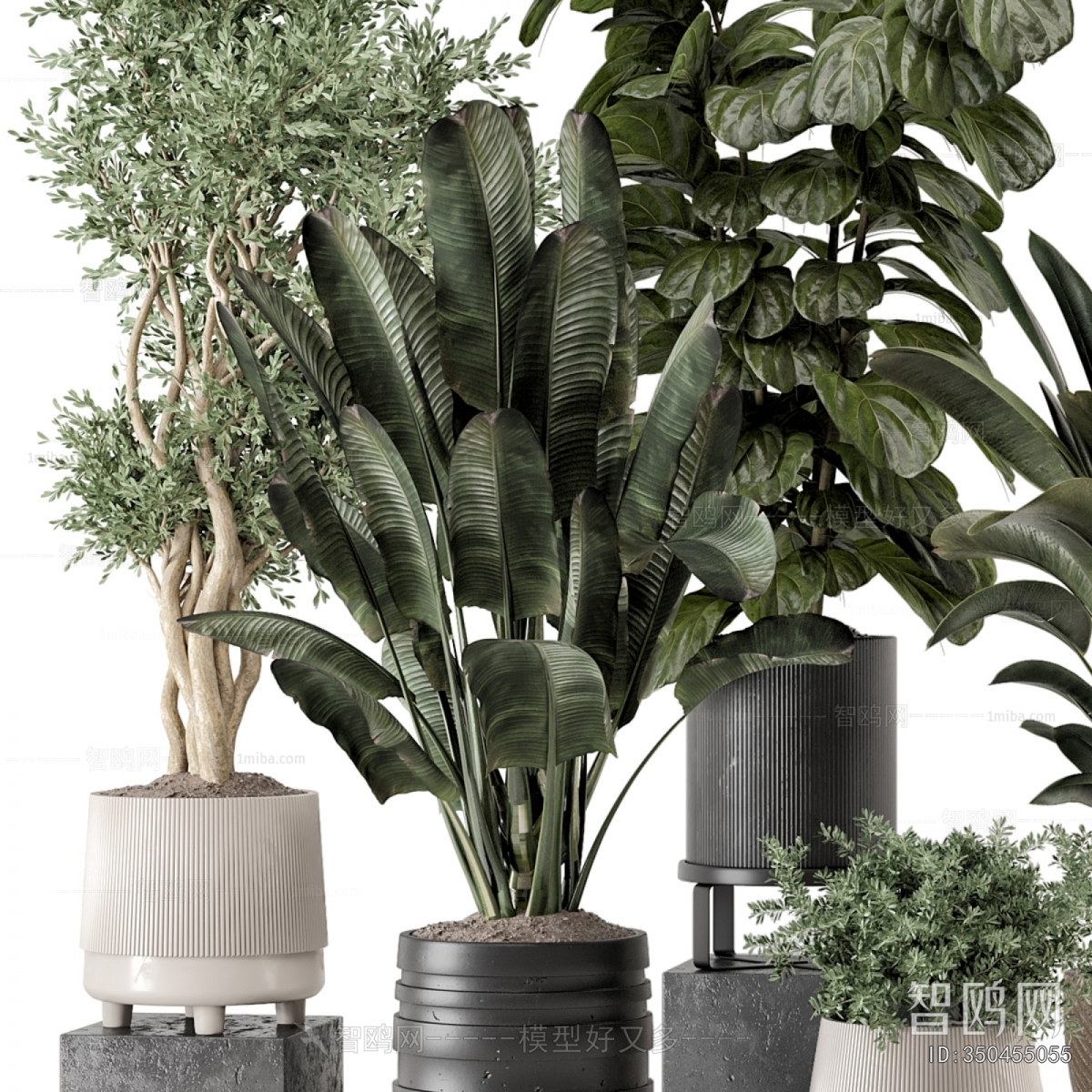 Modern Ground Green Plant Potted Plants