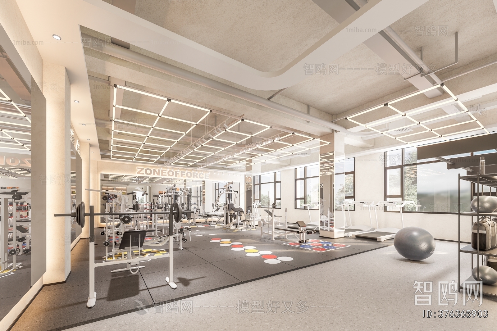 Modern Gym