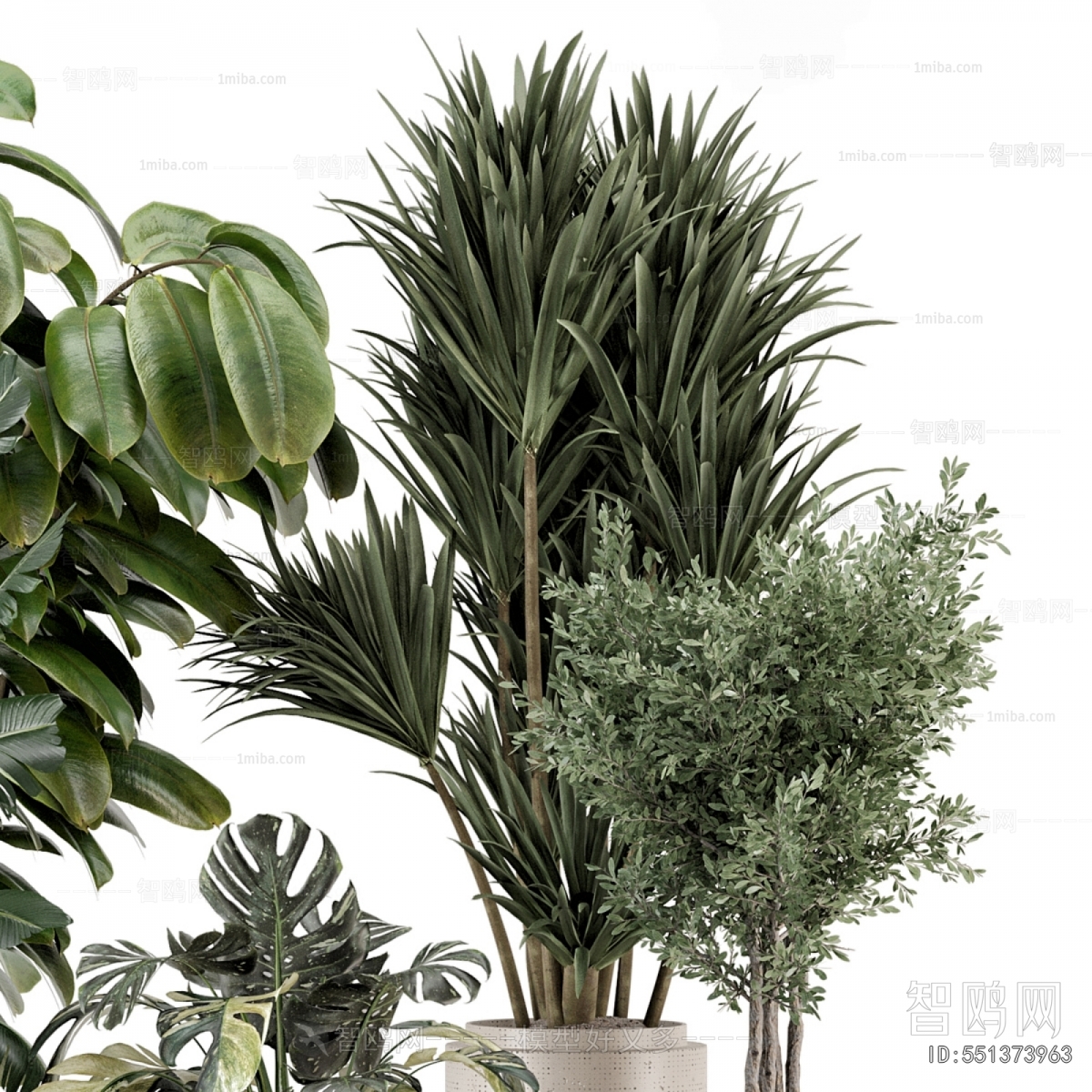 Modern Potted Green Plant