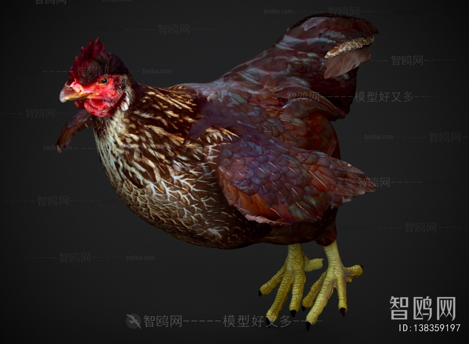 Modern Poultry Animal