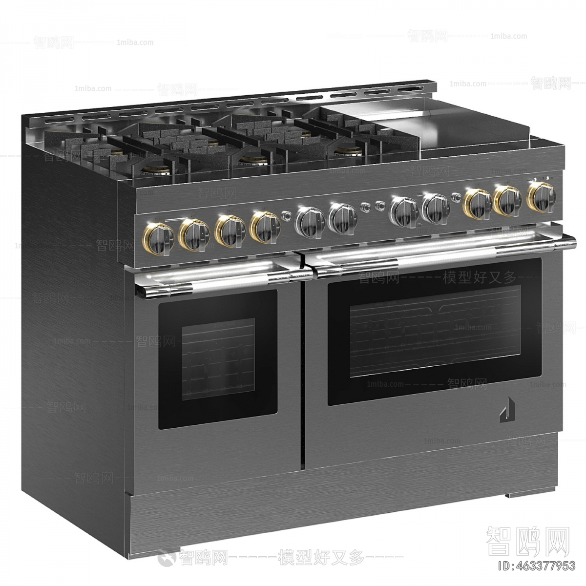 Modern Kitchen Electric Gas Range