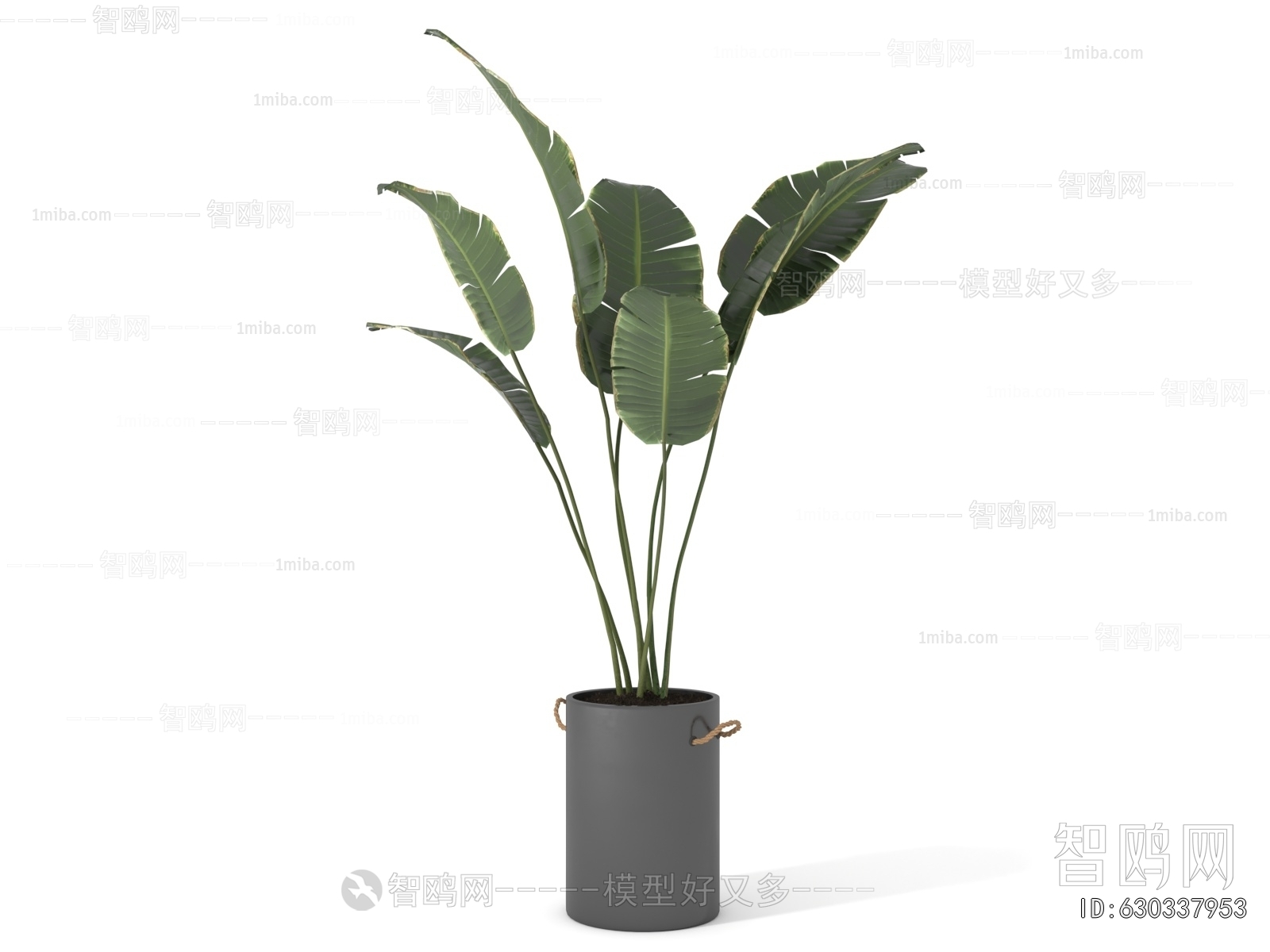 Modern Ground Green Plant Potted Plants